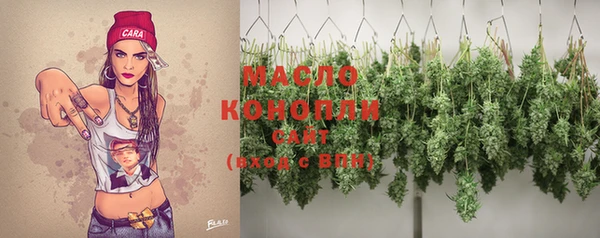 соль курить ск Каменка